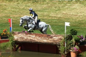 马术锦标赛赛事亮点解析，马术锦标赛冠军