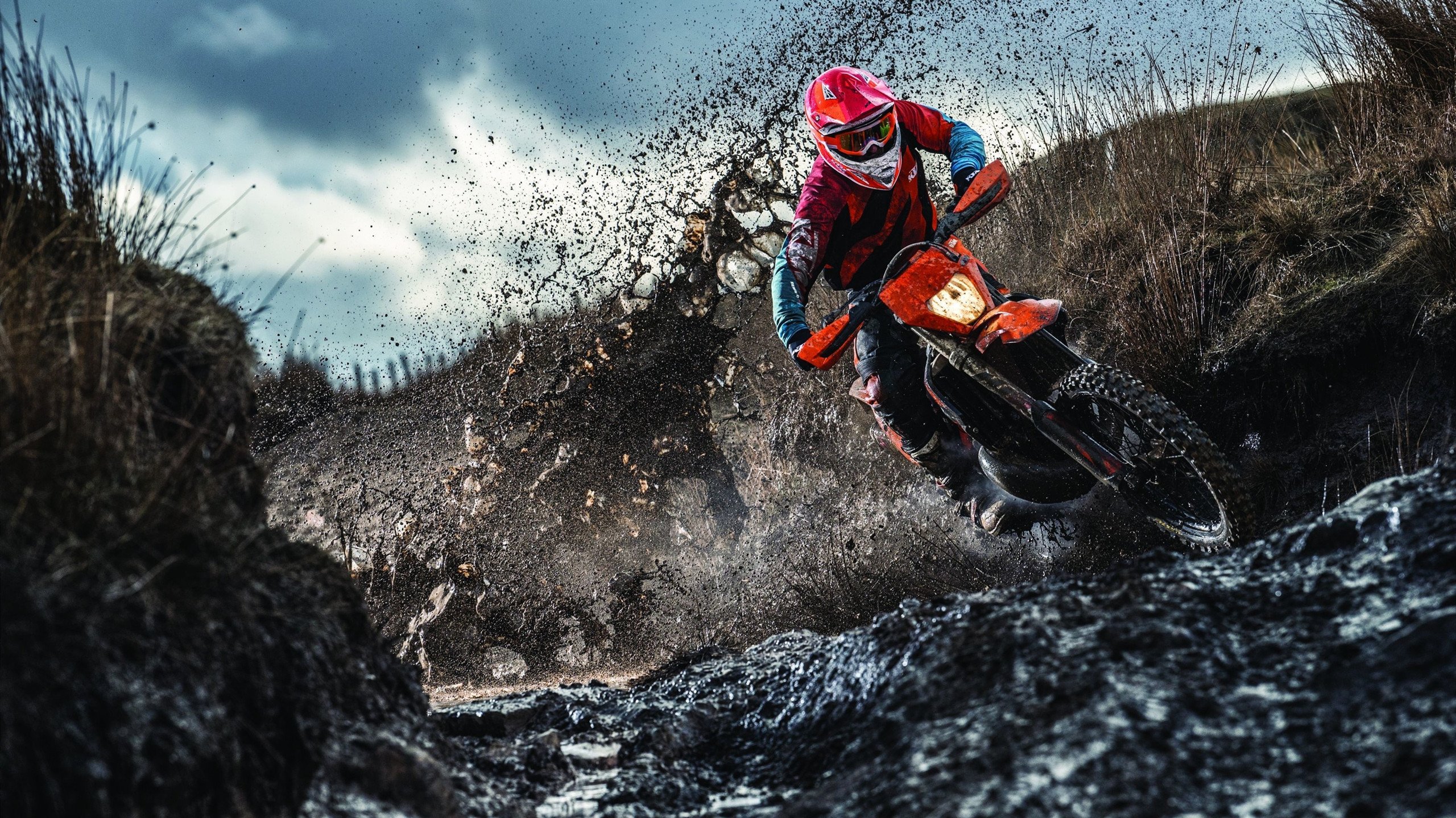 公牛队拼尽全力，狙击季后赛资格，公牛队对战