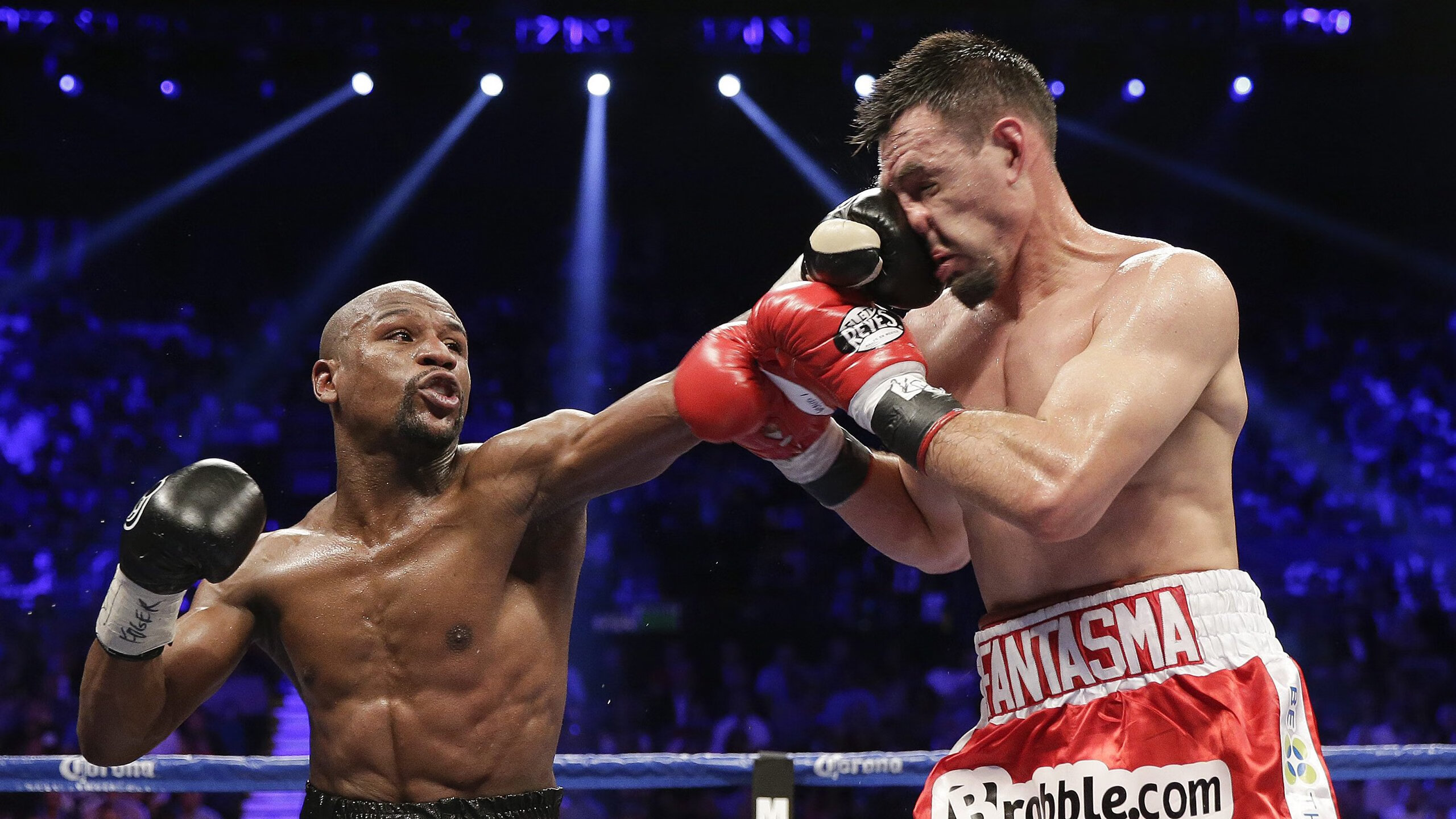 马术锦标赛赛事亮点解析，马术锦标赛冠军