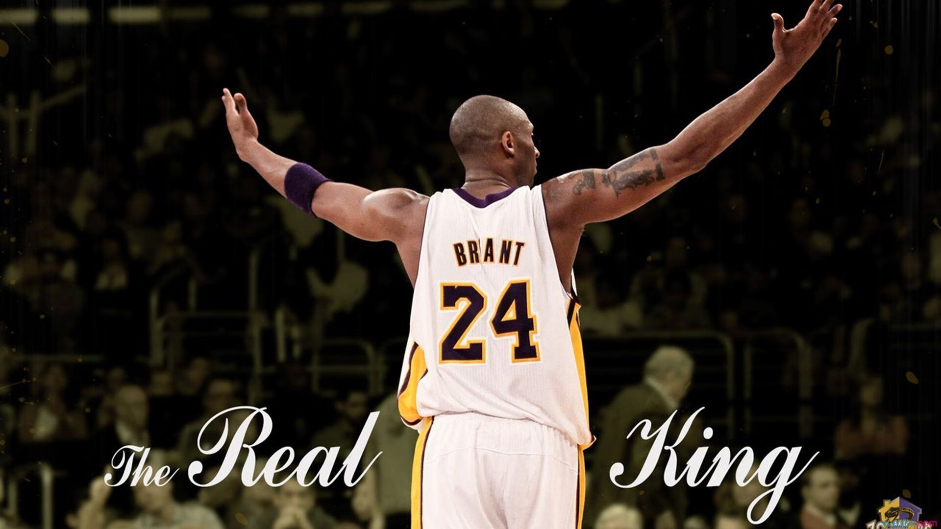 Radisavljevic 用坚持告诉世界什么是热爱，热爱是一种信仰,坚持是一种选择